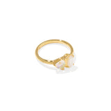 Tatum Band Ring in Gold Neutral Mix