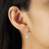 Raina Drops in Clear & CZ